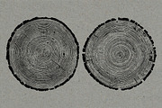 26 Large Tree Ring Textures, a Texture Graphic by Offset (Thumbnail 9 of 16)