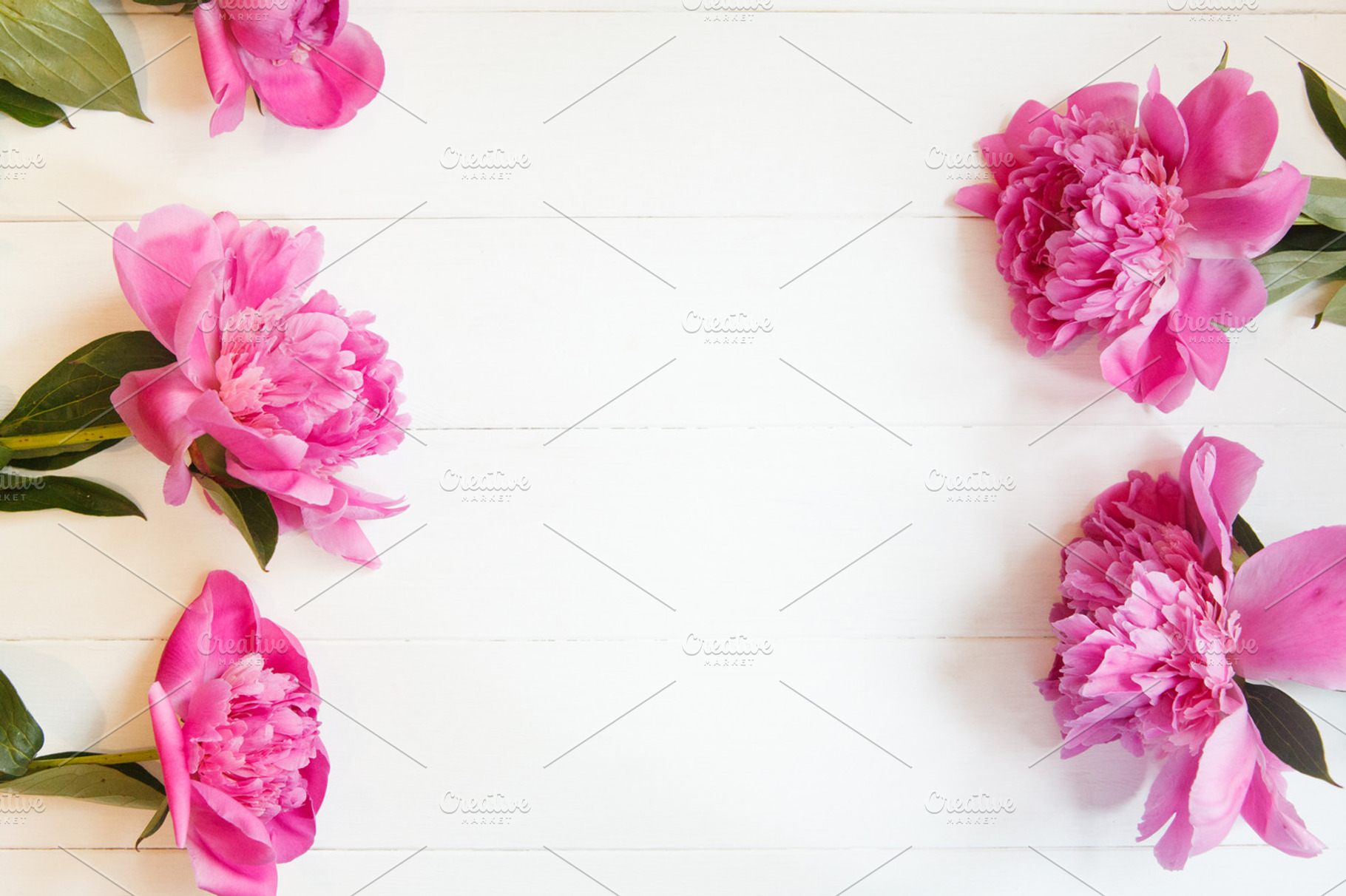 Bright fresh pink summer peonies stock photo containing peony and pink, a Nature Photo by Marine Girl shop