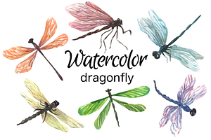 Dragonfly Watercolor Clip Art