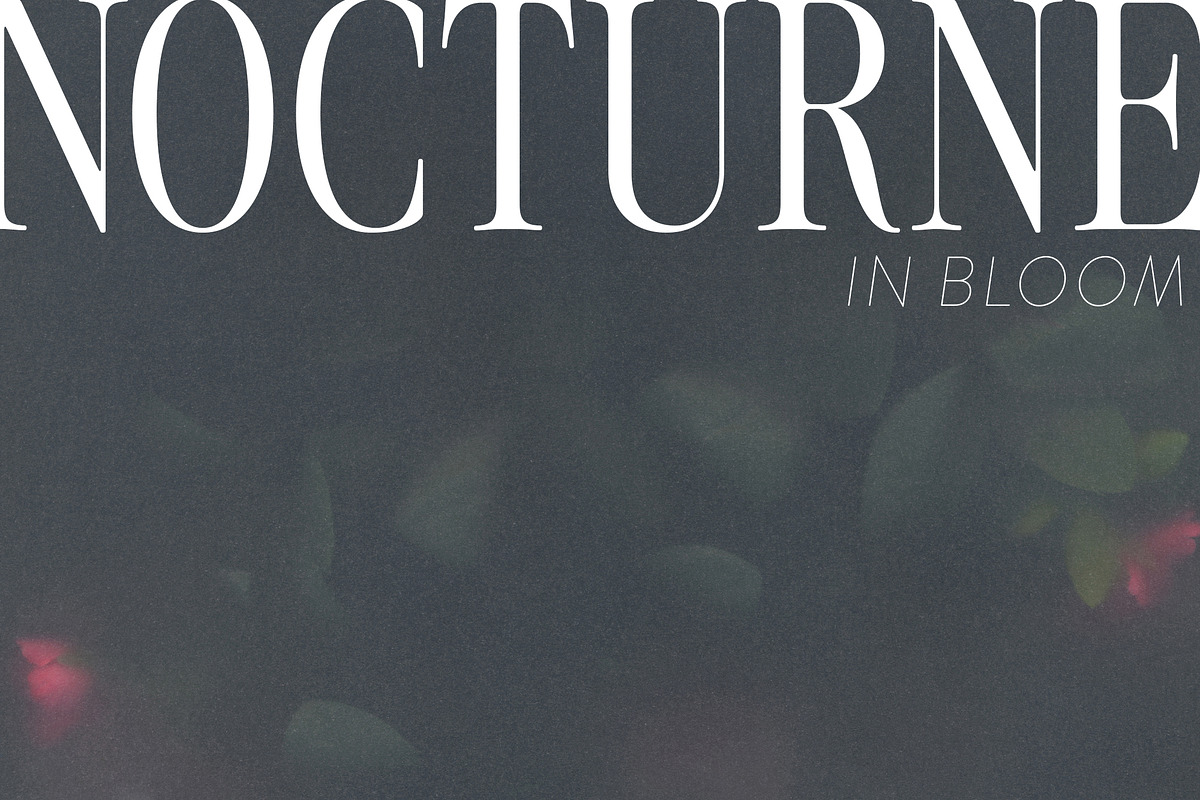 Nocturne in Bloom Floral Backgrounds, a Background Graphic by Dina Mae (Photo 7 of 10)