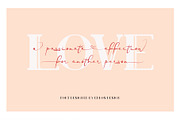Blanche - Signature Font, a Script Font by erlosDESIGN (Thumbnail 11 of 15)