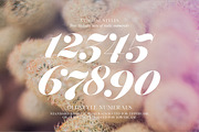 Jitzu Font Family, a Serif Font by Anthony James (Thumbnail 7 of 9)