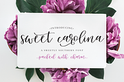 Sweet Carolina, a Script Font by Hewitt Avenue (Thumbnail 1 of 11)