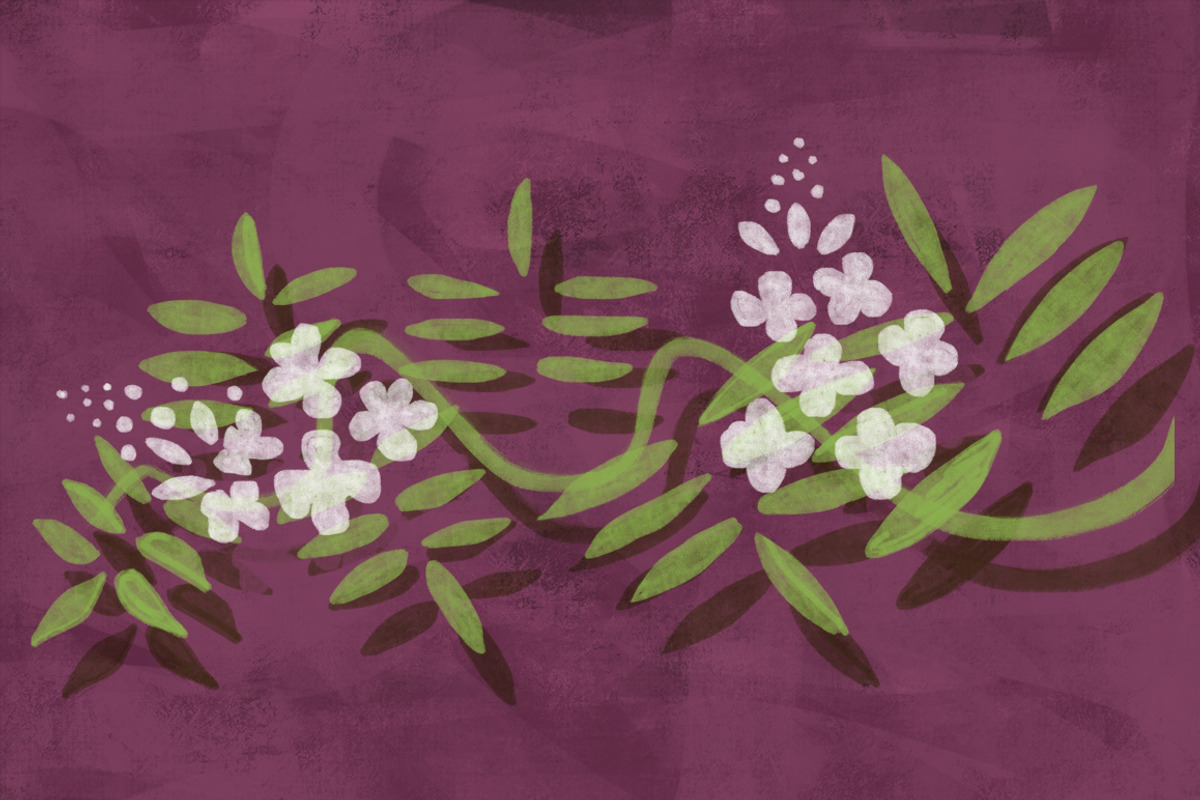 Dark Romance Floral Set, a Texture Illustration by Marmalade Moon (Photo 4 of 10)