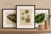 BUNDLE: 200 Vintage Art Prints, a Decorative Illustration by The Object Atlas (Thumbnail 20 of 22)
