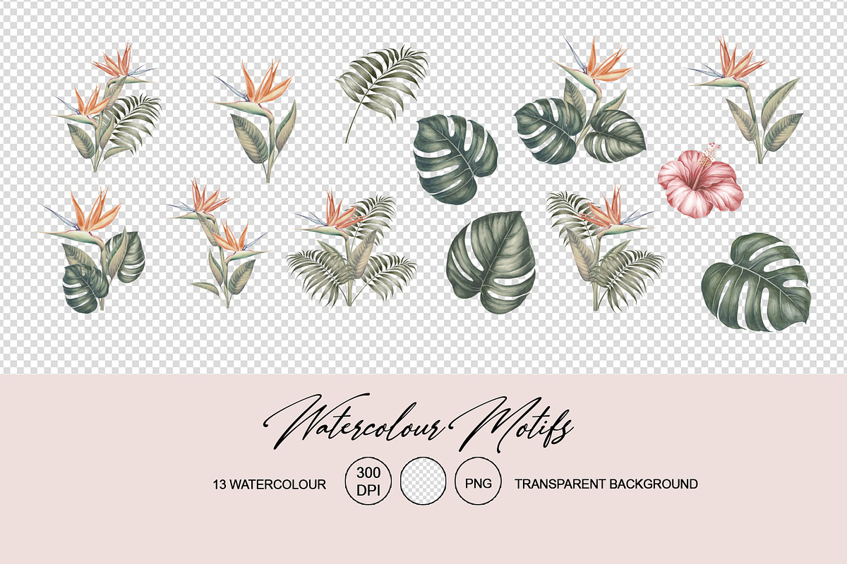 50% OFF! Tropical  jungle, a Pattern Graphic by Kotkoa (Photo 7 of 11)