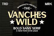 Vanches Wild - Bold Sans Serif, a Sans Serif Font by MaikoHatta (Thumbnail 1 of 7)