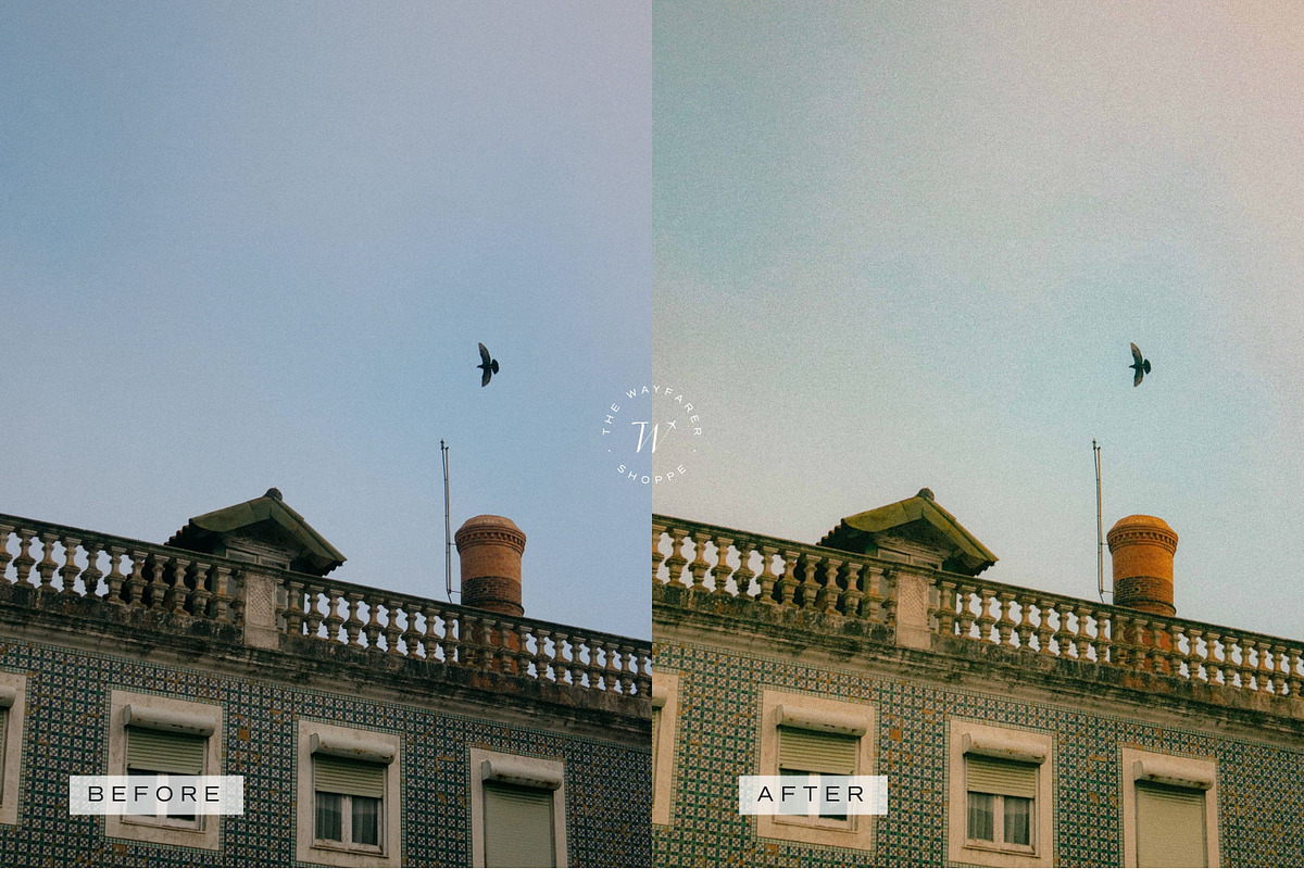 5 Film LR Presets + Video Filters, a Preset Add-On by TheWayfarerShoppe