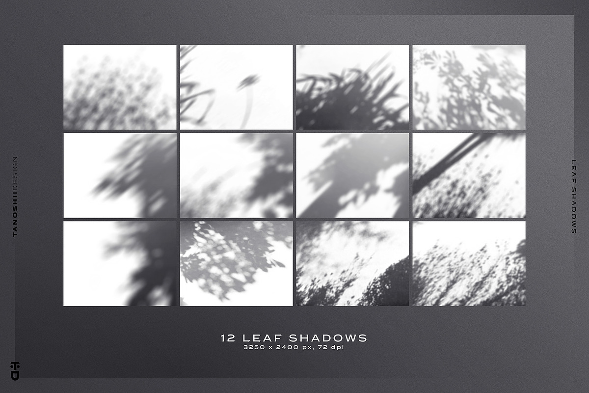 Leaf Shadows, a Templates & Theme by TANOSHII DESIGN (Photo 2 of 10)