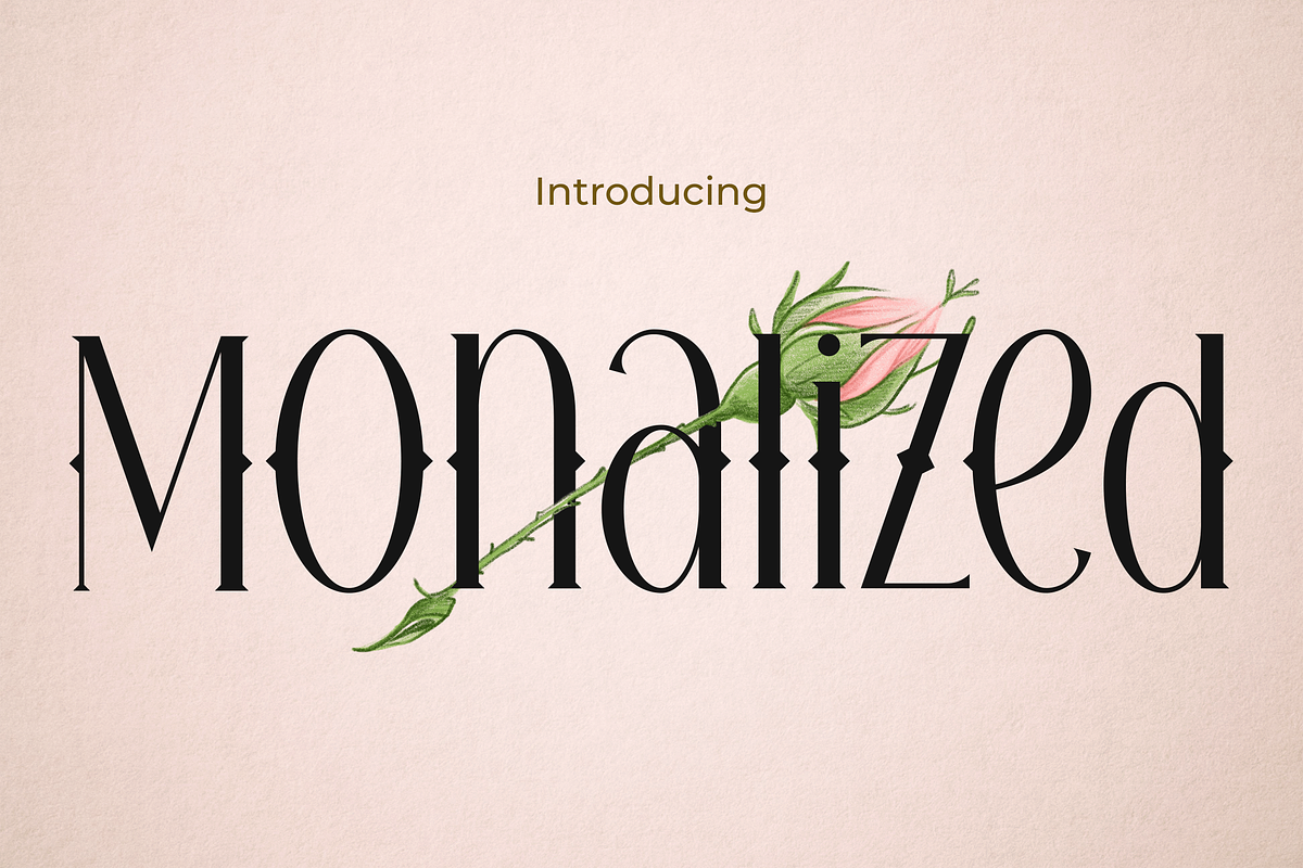 MONALIZED, a Serif Font by TokoPress (Photo 1 of 10)