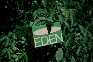 FORMAT EDEN LARGE ECOBOX 01