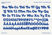 Pickers - Retro Bold Typeface, a Script Font by Any-Type® Foundry (Thumbnail 9 of 9)