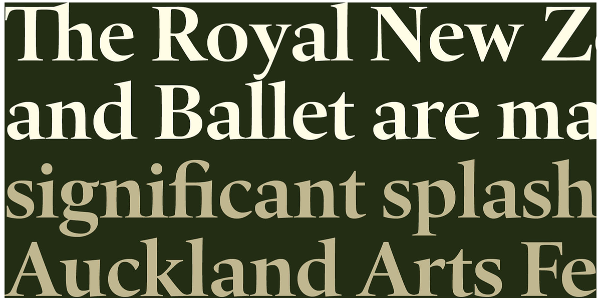 Quant, a Serif Font by Hoftype (Photo 2 of 6)