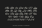 Salt Lake & Extra, a Handwritten Font by Davide Bassu (Thumbnail 7 of 8)