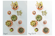 Magic Touch Lightroom Presets, an Action Add-On by HappyNews (Thumbnail 6 of 9)