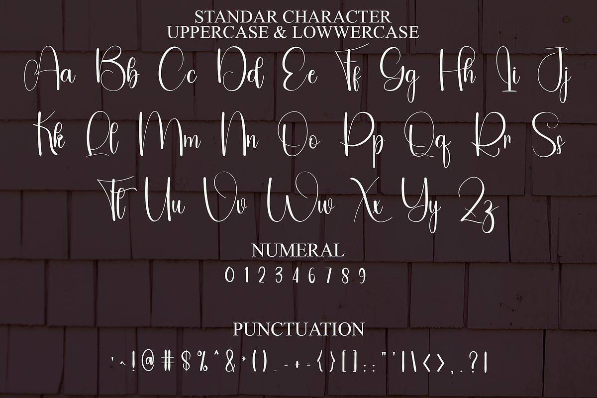 History, a Handwritten Font by FreshTypeINK (Photo 6 of 8)