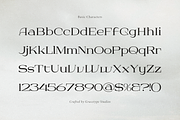 Dyrenko | Display Serif Font, a Serif Font by gracetype_studio (Thumbnail 10 of 12)