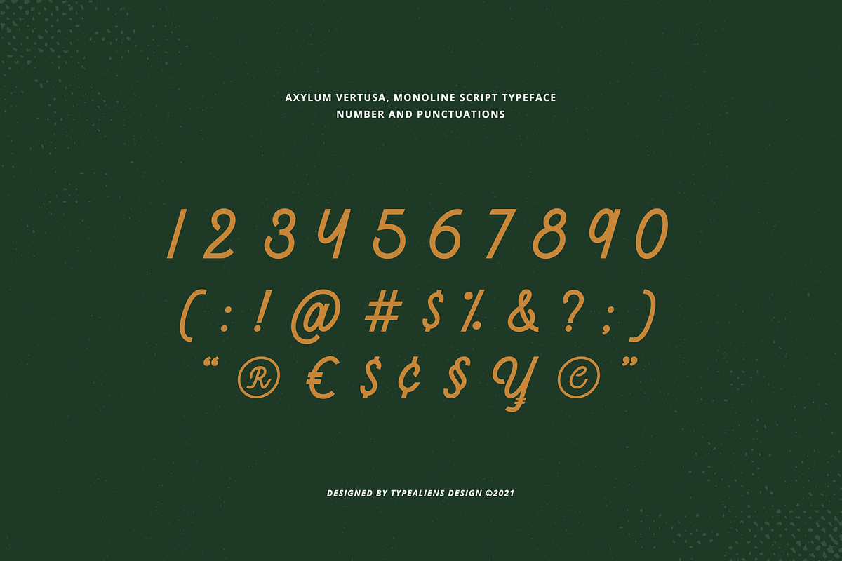 Axylum Vertusa, a Script Font by ilhamtaro (Photo 9 of 11)