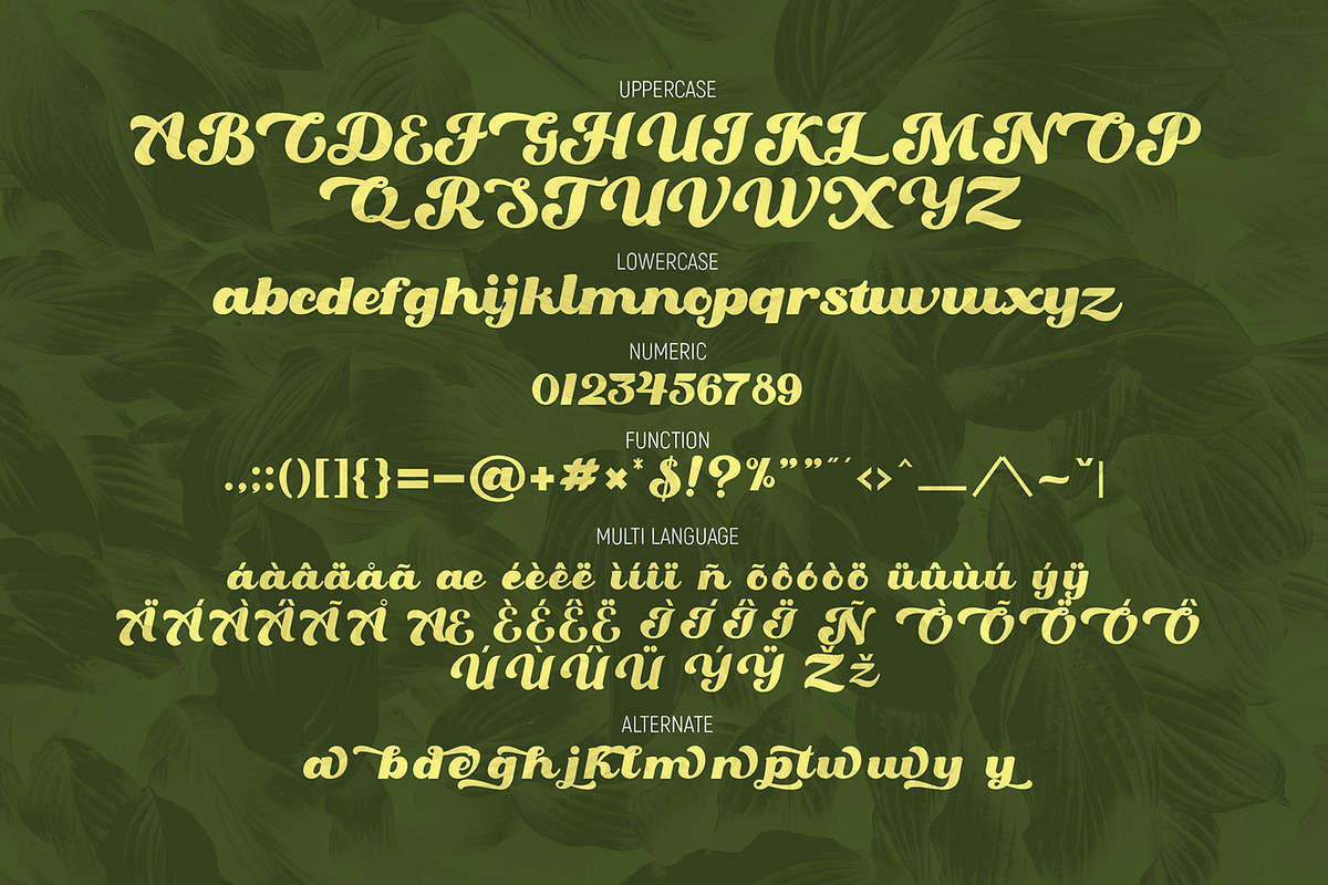 Oaklash - Retro Bold Script Font preview 6