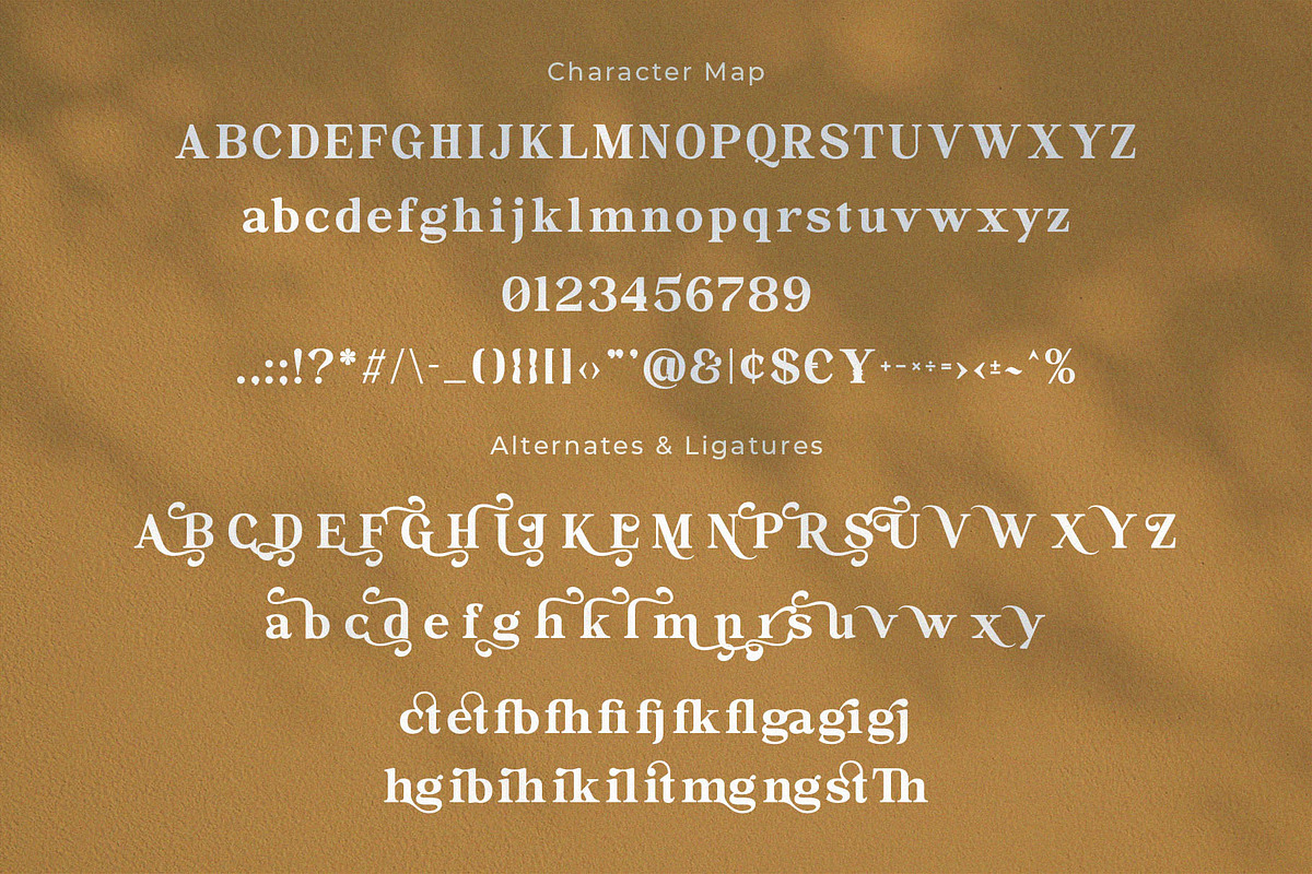 Reilbang - Elegant Display Serif, a Serif Font by Jimoji (Photo 9 of 11)