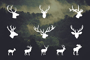 Rustic Animals Clipart - AI PNG EPS, an Animal Illustration by BirDIY Design (Thumbnail 4 of 8)