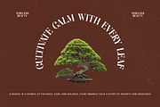 Single Robusta Modern Display Serif, a Serif Font by timelesstype.co (Thumbnail 2 of 20)