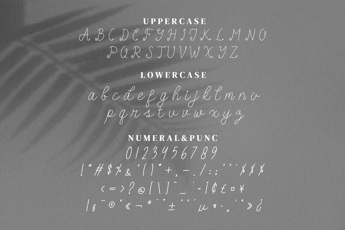 Be Rush Script Fonts, a Script Font by mahstudios (Photo 10 of 13)