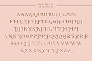 Qaligo Sans | Elegant Font, a Sans Serif Font by Youthlabs Studio (Thumbnail 12 of 18)