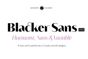 Blacker Sans - 60 + 3 variable fonts, a Sans Serif Font by Zetafonts (Thumbnail 1 of 15)