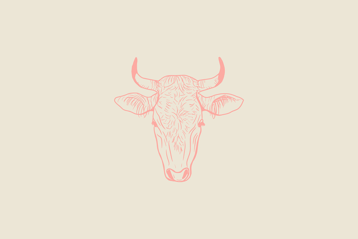 Vector Bovine Graphics, an Animal Illustration by Dorey Kronick Art&Design (Photo 9 of 19)