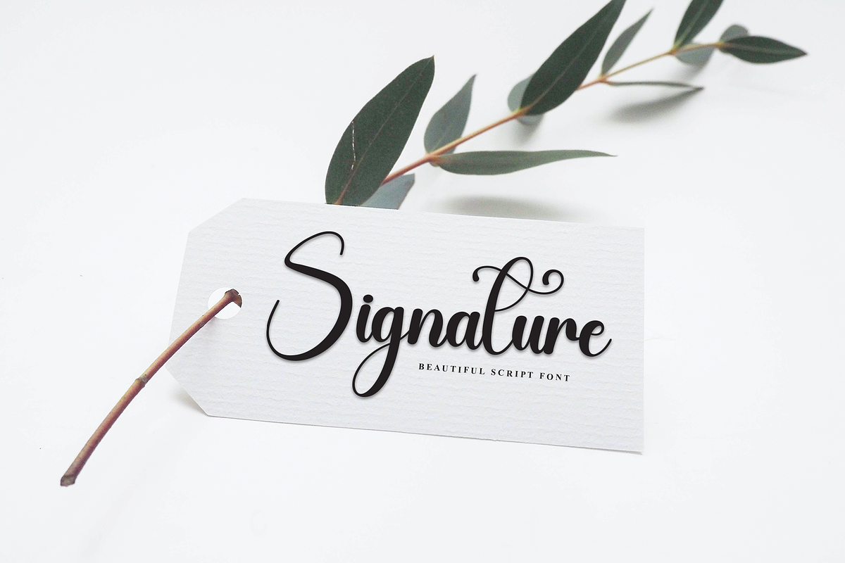 Blanket | Script Font, a Handwritten Font by Scratchones (Photo 4 of 9)