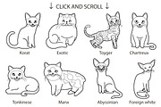 25 breeds of cats, vector, an Animal Illustration by Mallinka (Thumbnail 3 of 3)