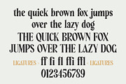 Broden Display - Unique Modern Serif, a Serif Font by Myn Type (Thumbnail 16 of 16)