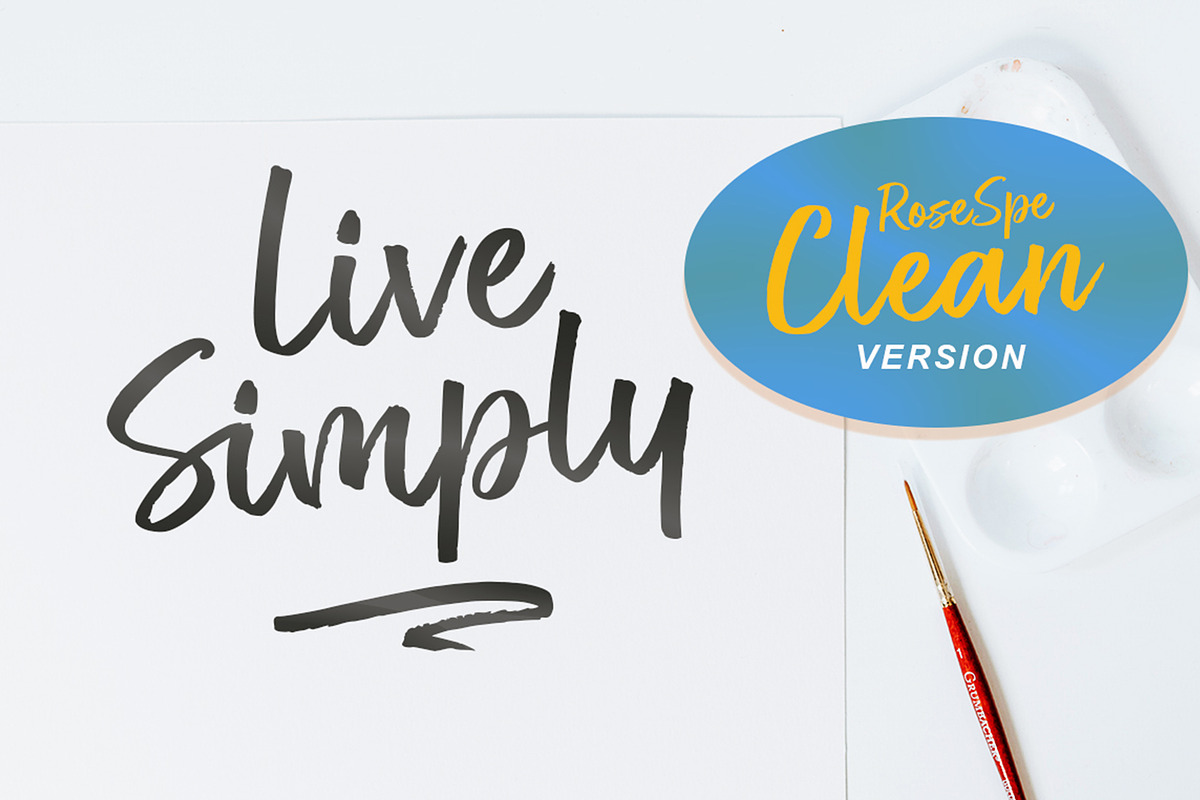 Rose Spe, a Script Font by Stripes Studio (Photo 7 of 9)