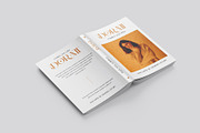 Rossile Serif Font, a Serif Font by Ermedia Studio (Thumbnail 4 of 11)