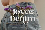 Borgeny | Modern Classy Serif Font, a Serif Font by Pentagonistudio (Thumbnail 8 of 11)