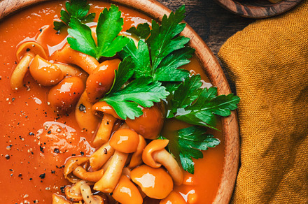 Vegan creamy pumpkin soup with mushrooms, hot pepper and parsley, a Food & Drink Photo by 5PH