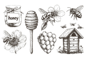 honey engraving set. jar honeycomb, a Food Illustration by Stock-Smart-Start