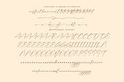 Magical Delight Modern Signature, a Script Font by Integritype Studio (Thumbnail 14 of 15)