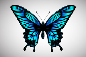 Butterfly Vector Illustration