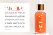 Midlife Cricise Modern Serif Font, a Serif Font by timelesstype.co (Thumbnail 6 of 20)