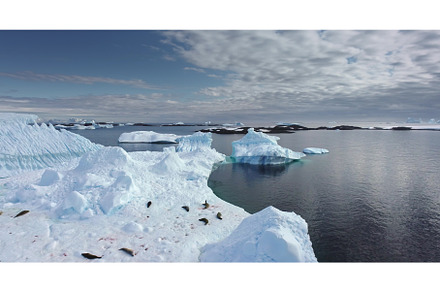 Antarctica wildlife protection