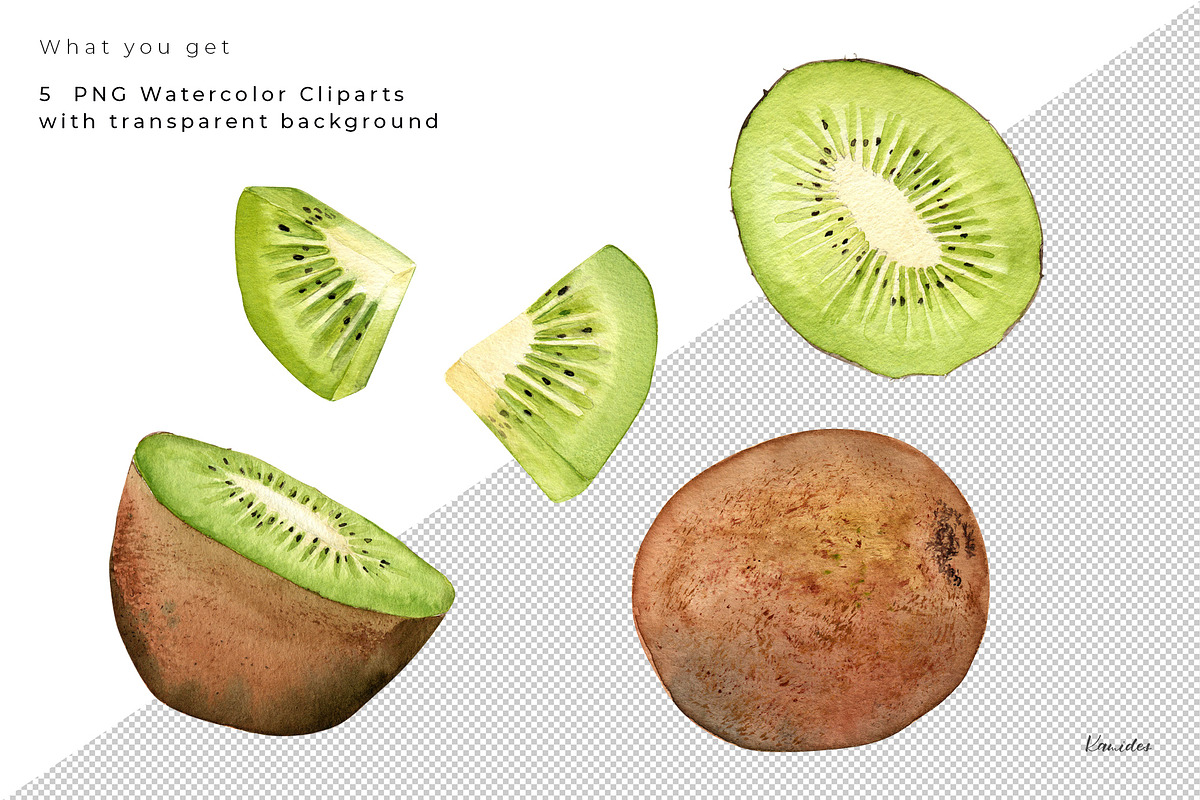 Watercolor KIWI Fruit Clipart PNGs, an Illustration by Kamides (Photo 2 of 4)