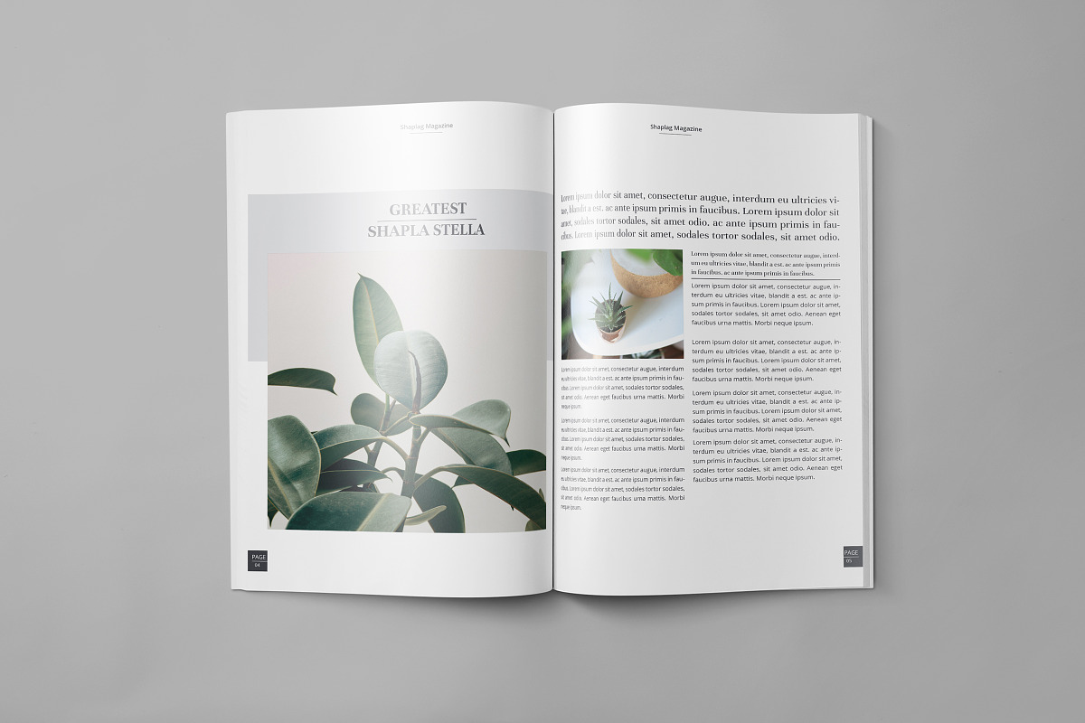 Magazine Layout Template, a Magazine Template by obidullah_01 (Photo 4 of 9)