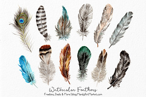 Natural Watercolor Feathers, an Illustration by Amanda Ilkov