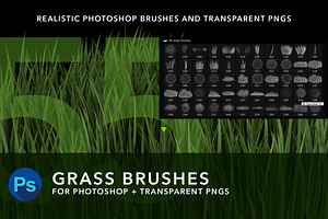 MS Grass Brushes