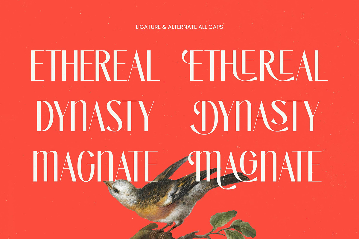 Bragute Sans Serif Display, a Sans Serif Font by timelesstype.co (Photo 4 of 10)