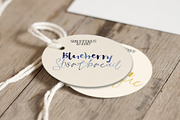 Big Bunch of Fonts, a Script Font by Creativeqube Design (Thumbnail 11 of 13)