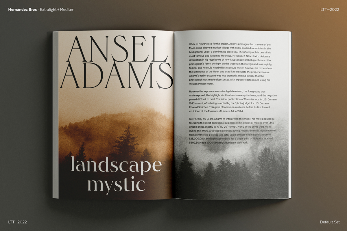 Hernandez Bros, a Serif Font by Latinotype (Photo 13 of 15)