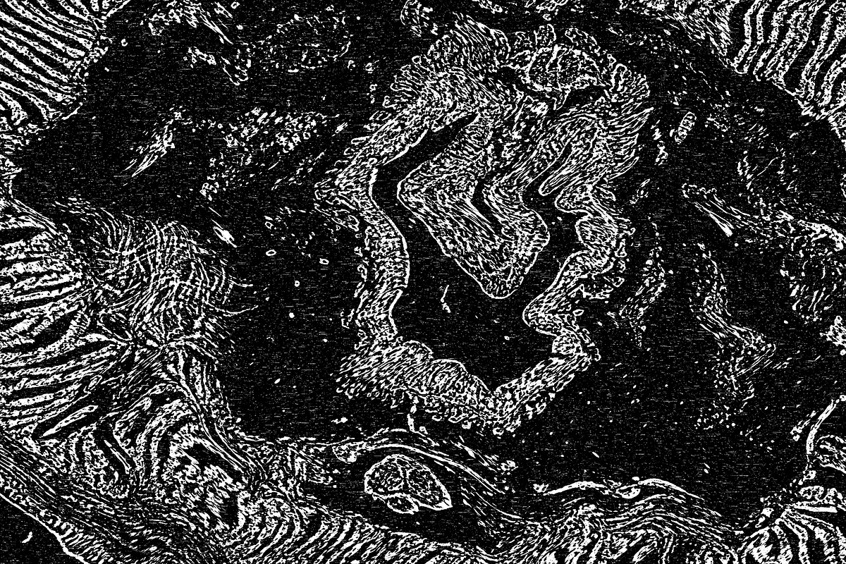 Lilliputian, a Texture Graphic by Jennifer Lauren Creative (Photo 11 of 28)